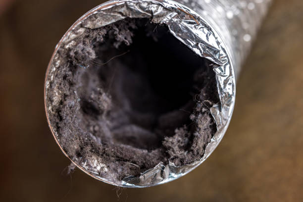 Best Emergency Air Duct Cleaning  in Robins Af, GA
